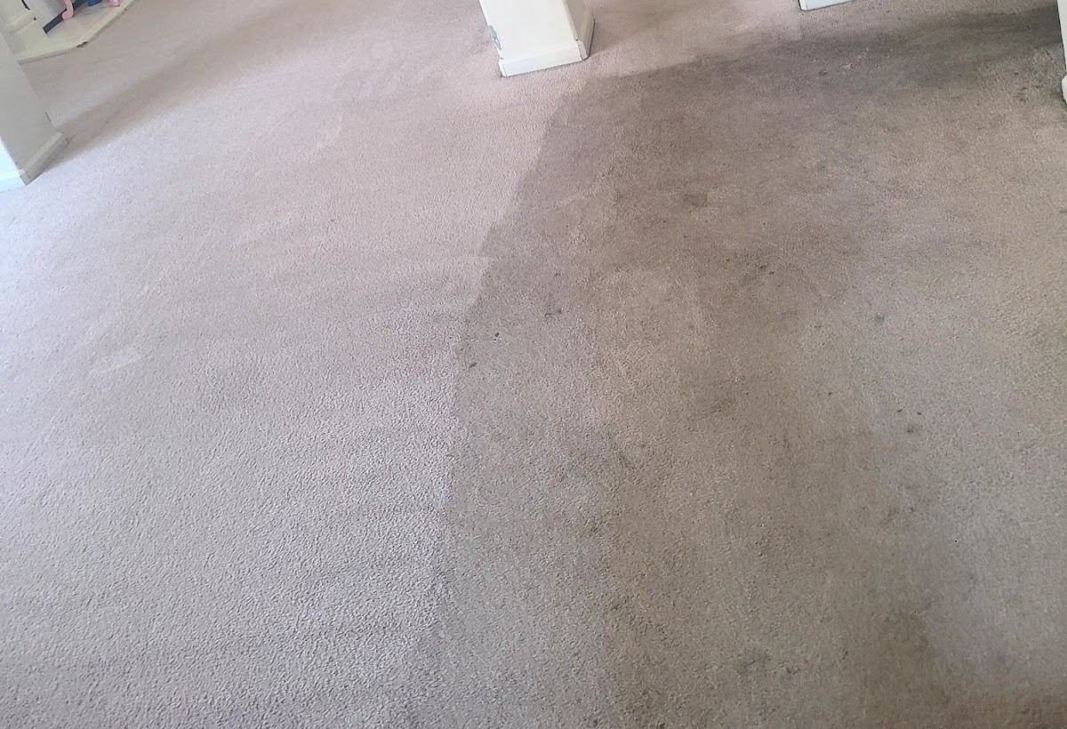 Commercial Carpet Cleaning