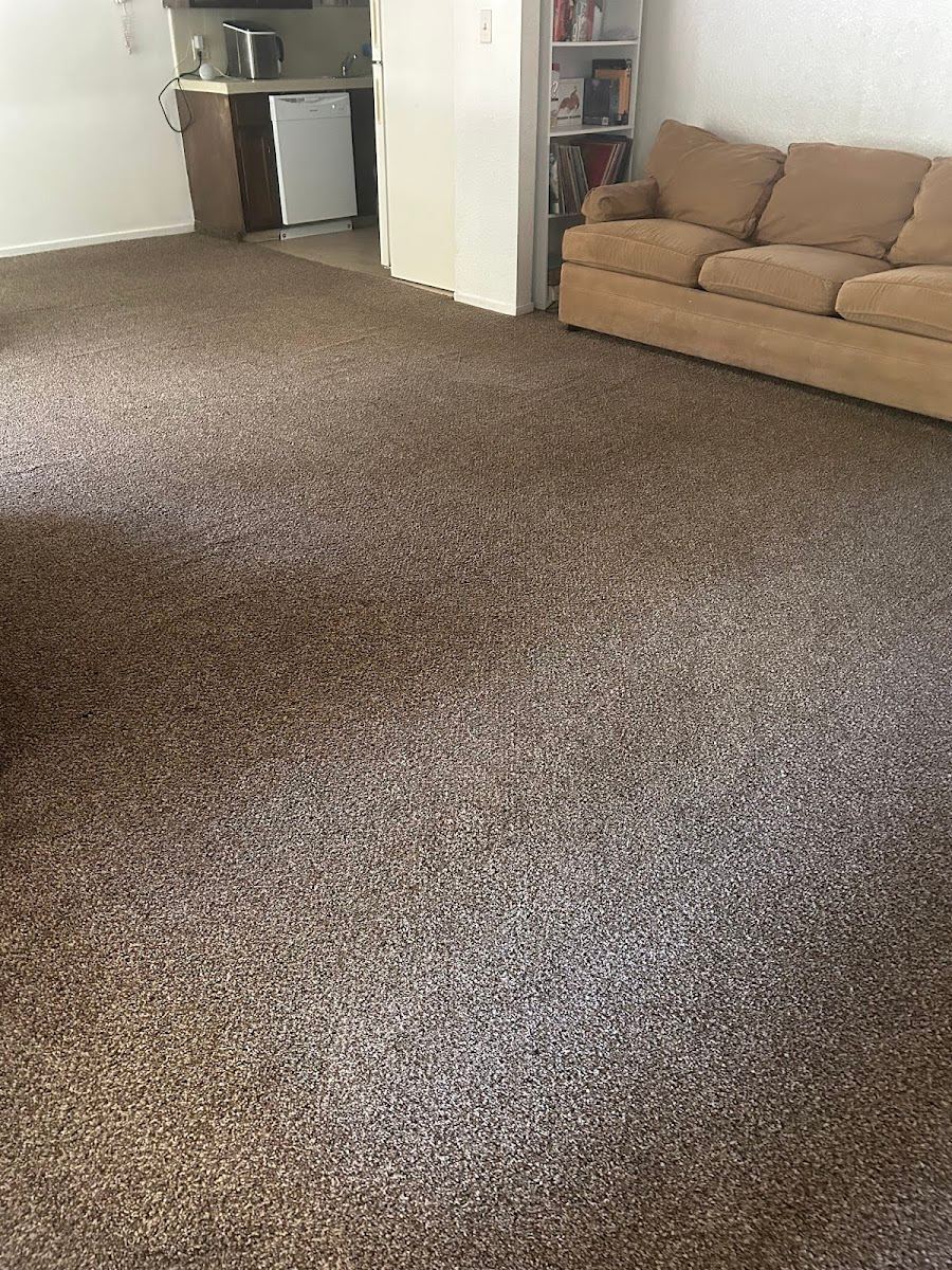 Residential Carpet Cleaning